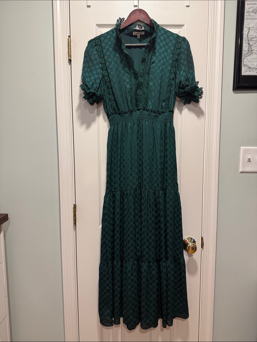 Max Studio Dark Green Swiss Dot Maxi Dress